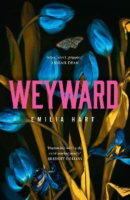 Weyward (Feb 2023, Paperback, 384 pg) Emilia Hart