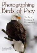 Photographing Birds of Prey - The Art of Identifying & Documenting Raptors (Paperback)