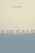Air Salt - A Trauma M moire as a Result of the Fall (Paperback)