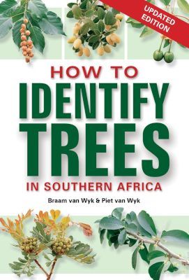 How To Identify Trees In South Africa (Paperback, Updated 2nd Edition)