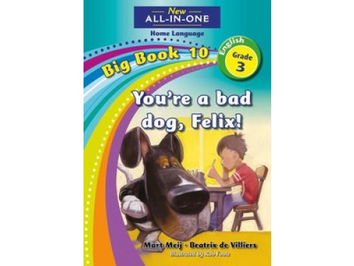 New All-in-One Grade 3 English Home Language Big Book 10 : You're a bad dog, Felix!