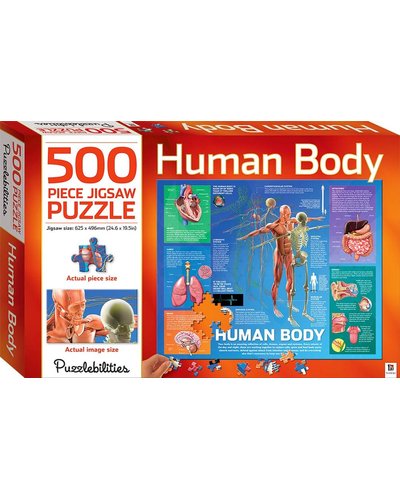 Junior Puzzle: Human Body 500-Piece Jigsaw Puzzle (Jigsaw, 5th edition, age 13+) Hinkler Pty Ltd