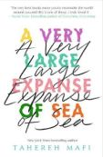 A Very Large Expanse of Sea - A Novel (Paperback)